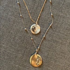 Double mixed metal necklace